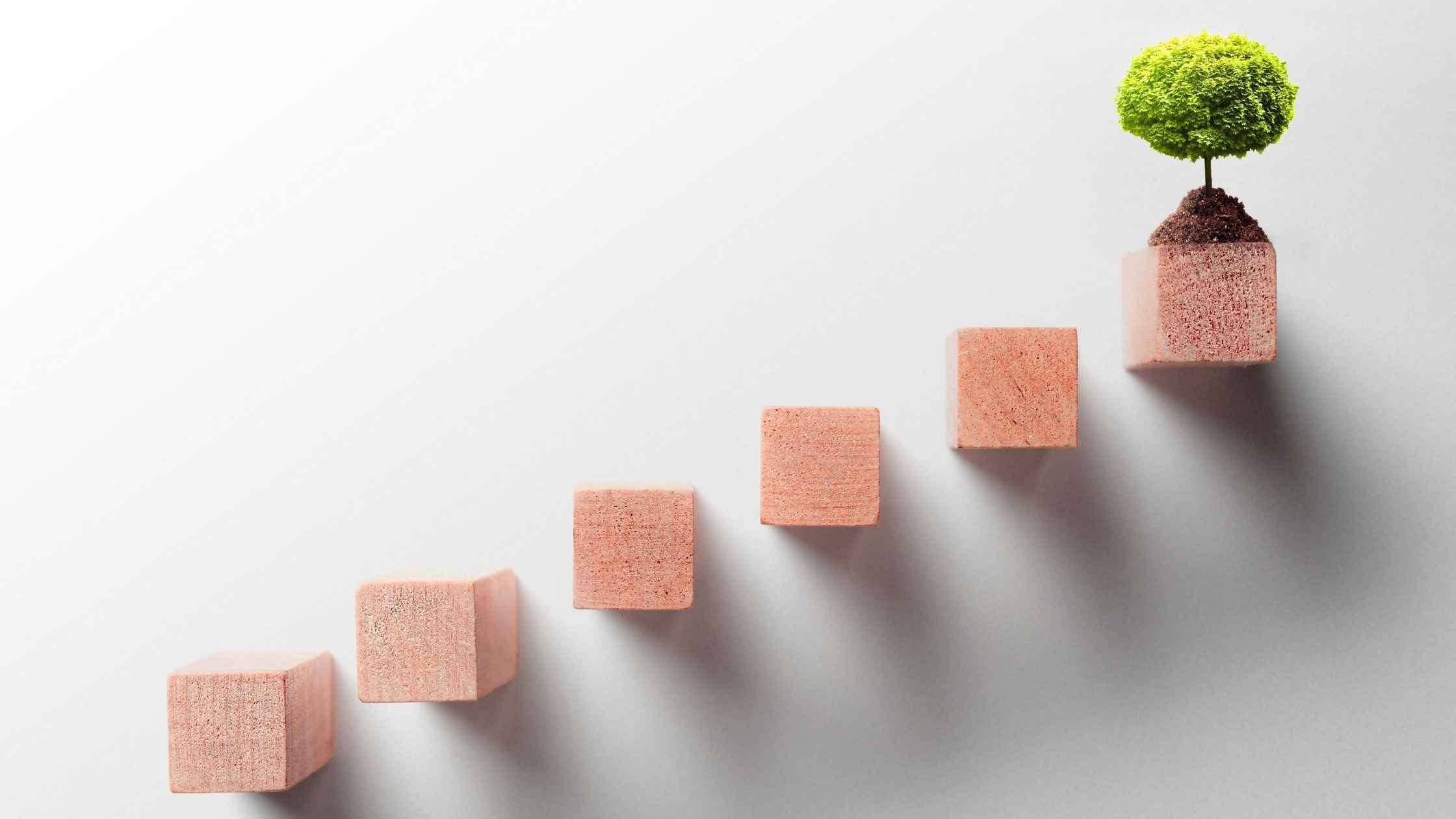 Continuous Optimisation