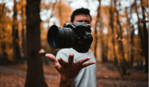 Digital Asset Chaos? Why You Need a DAM Strategy for Scalable Content